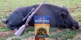 Выбираем приманки для охоты на кабана