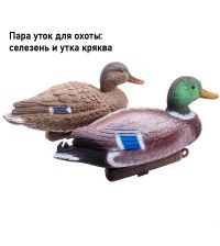 Чучела кряквы cелезень и утка DUCK MAGNIT РЕЛЬЕФ