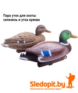 Чучела кряквы cелезень и утка DUCK MAGNIT РЕЛЬЕФ