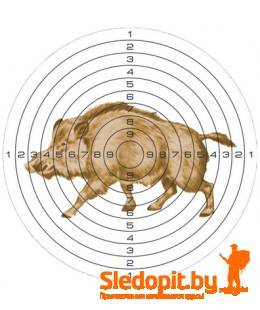 Мишень для пневматики 25 м цветная рисунок КАБАН 50шт